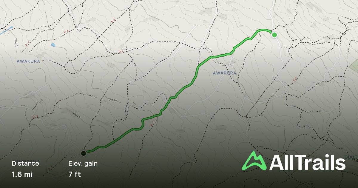 ⛩️ 무라야마 센겐 신사 (村山浅間神社) 이미지 5